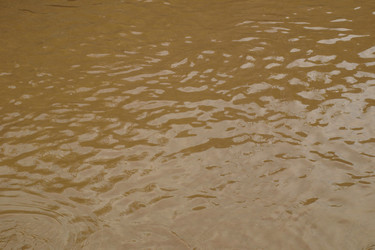 Similar image 2913644