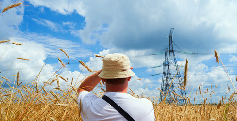 Similar image 2913684