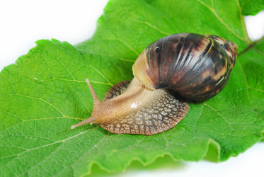 Similar image 2913693