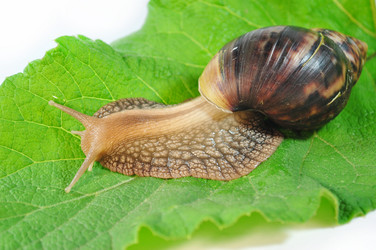 Similar image 2913694