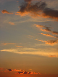 Similar image 2913713