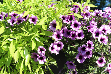 Similar image 2913715