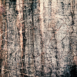 Similar image 2913785