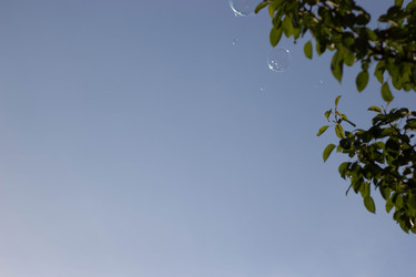 Similar image 2913787