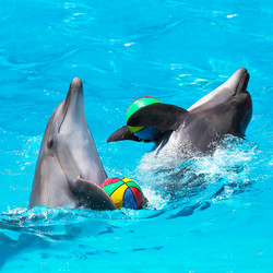 Similar image 2913809