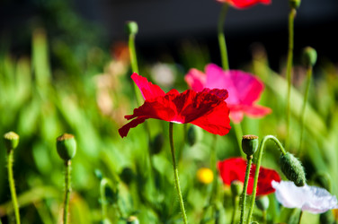 Similar image 2913842