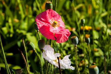 Similar image 2913843