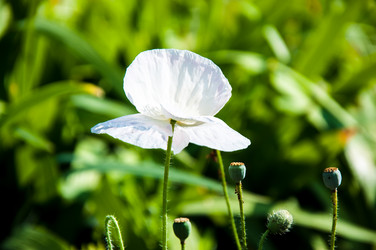 Similar image 2913844