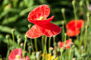 Similar image 2913849