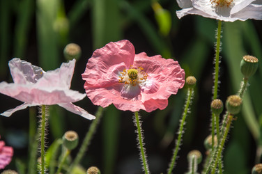 Similar image 2913850