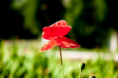 Similar image 2913851