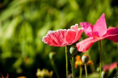 Similar image 2913852