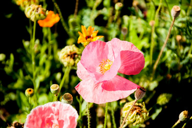 Similar image 2913855