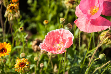 Similar image 2913856