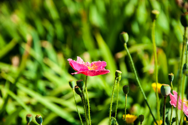 Similar image 2913858