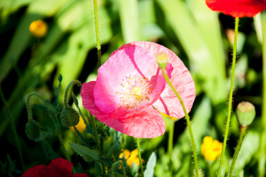 Similar image 2913859