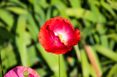 Similar image 2913860