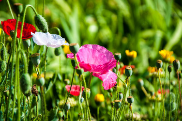 Similar image 2913863