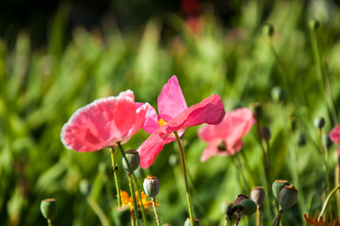 Similar image 2913864