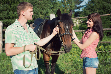 Similar image 2913866