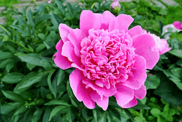 Similar image 2913923