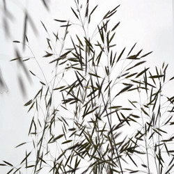 Similar image 2913924