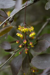 Similar image 2913951