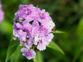 Similar image 2913968