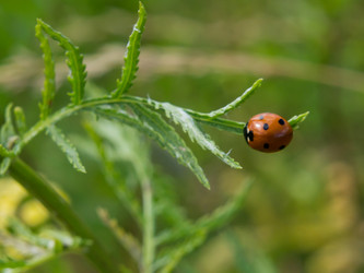 Similar image 2913970