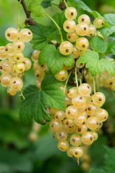 Similar image 2913971