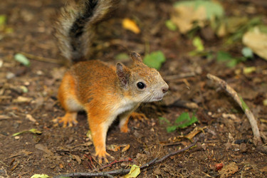 Similar image 2914074