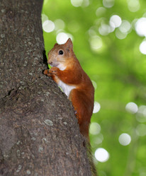 Similar image 2914078