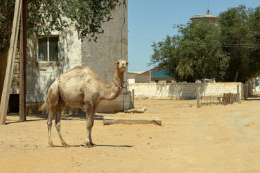 Similar image 2914083