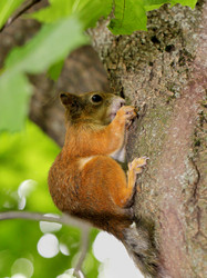 Similar image 2914120