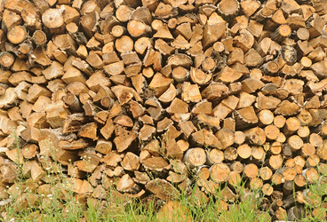 Similar image 2914186