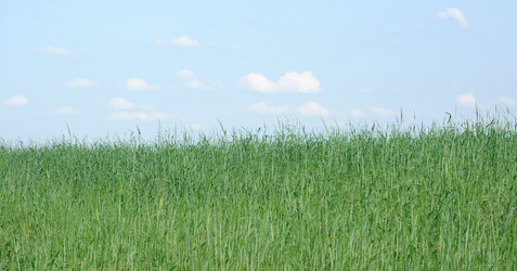 Similar image 2914197