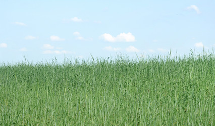 Similar image 2914198