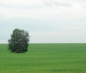 Similar image 2914202