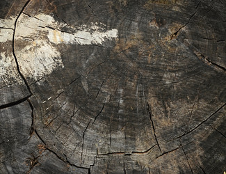 Similar image 2914204