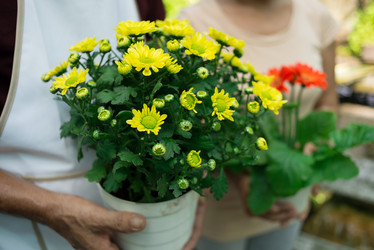 Similar image 2914426