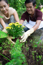 Similar image 2914434