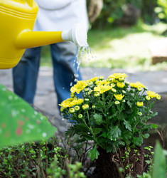 Similar image 2914436