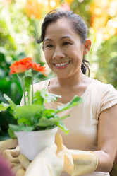 Similar image 2914437