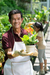 Similar image 2914459