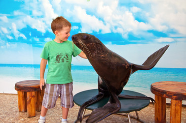 Similar image 2914563