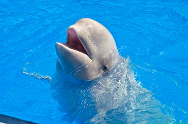 Similar image 2914564