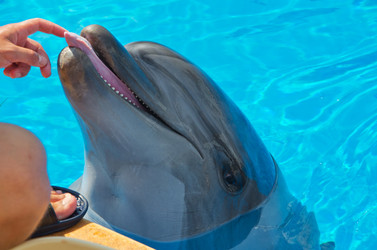 Similar image 2914565