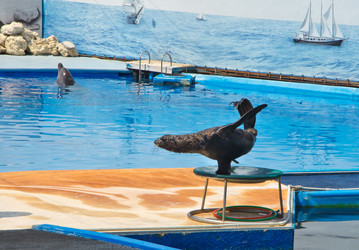 Similar image 2914566