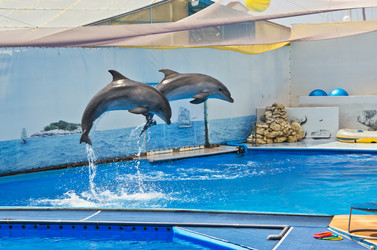 Similar image 2914570