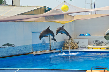 Similar image 2914571